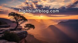 highbluffblog.com
